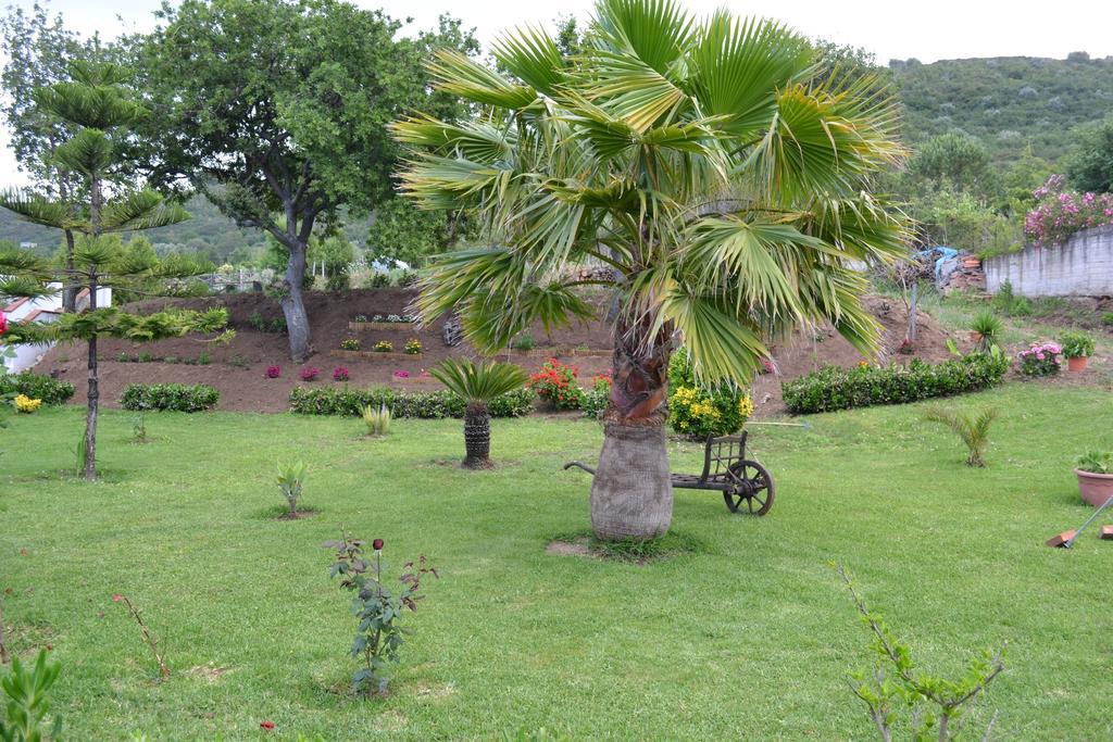 Villa Bella Vista Santa Domenica  Cameră foto